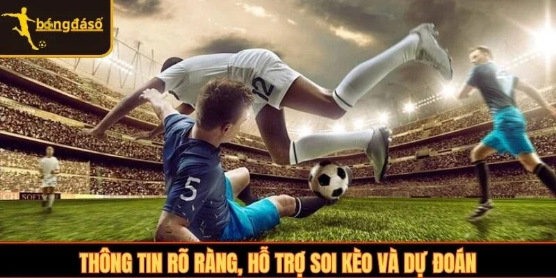 Thông tin rõ ràng, hỗ trợ soi kèo và dự đoán
